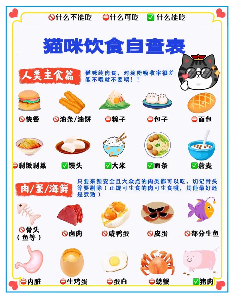 猫咪饮食禁忌全知道，哪些食物不能给猫吃？