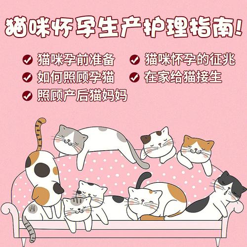 紧急应对猫咪怀孕——从孕期护理到产后照顾全攻略