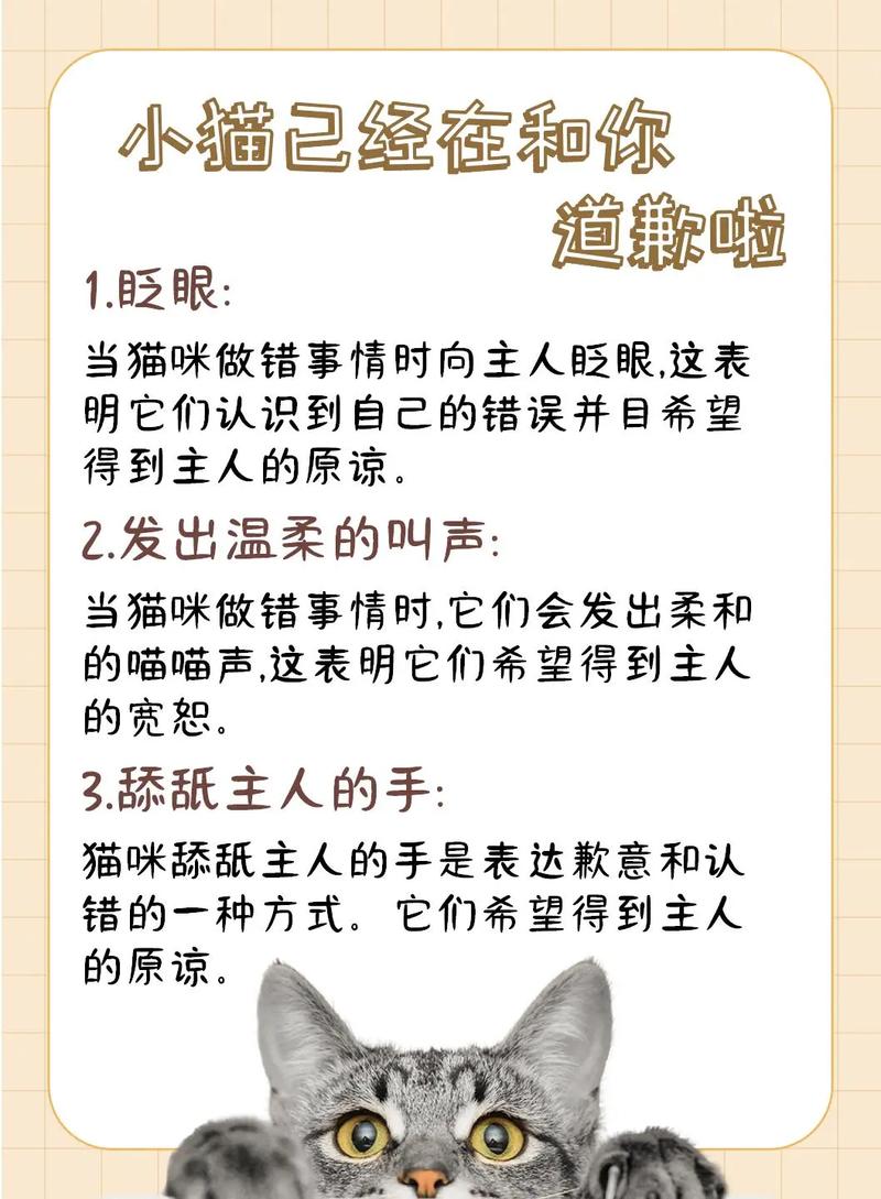 猫咪互动眨眼，揭秘它们迷人眼神背后的秘密