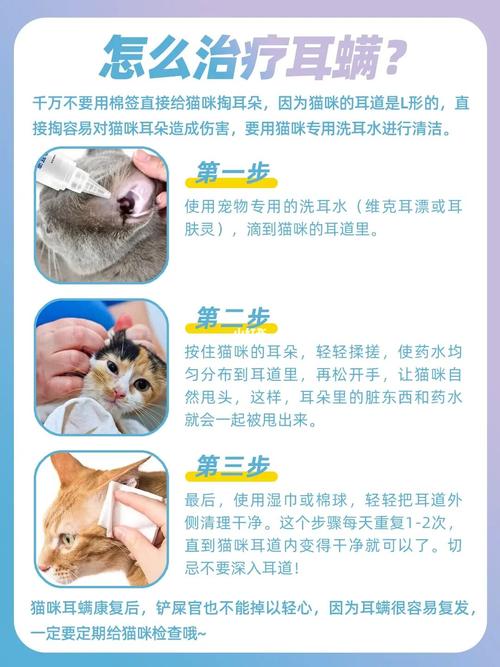 猫咪胃病的预防与治疗——呵护毛孩子健康的第一步