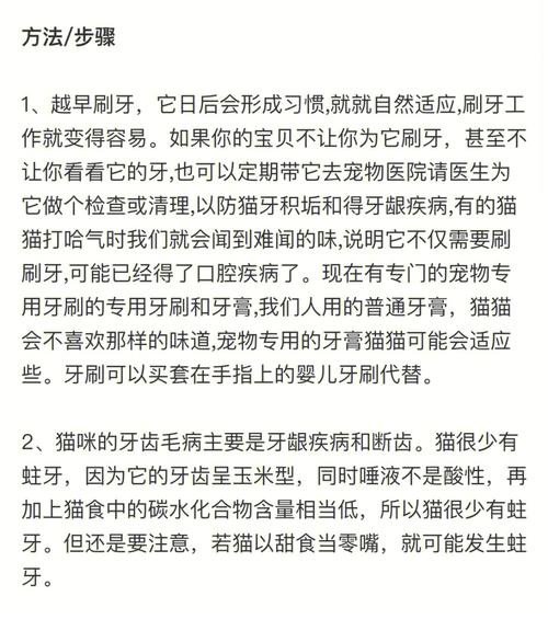 喵星人的换牙秘籍，猫咪成长中的牙齿小冒险