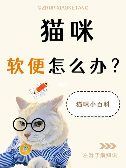 猫咪饭量突然增加？原因和应对策略