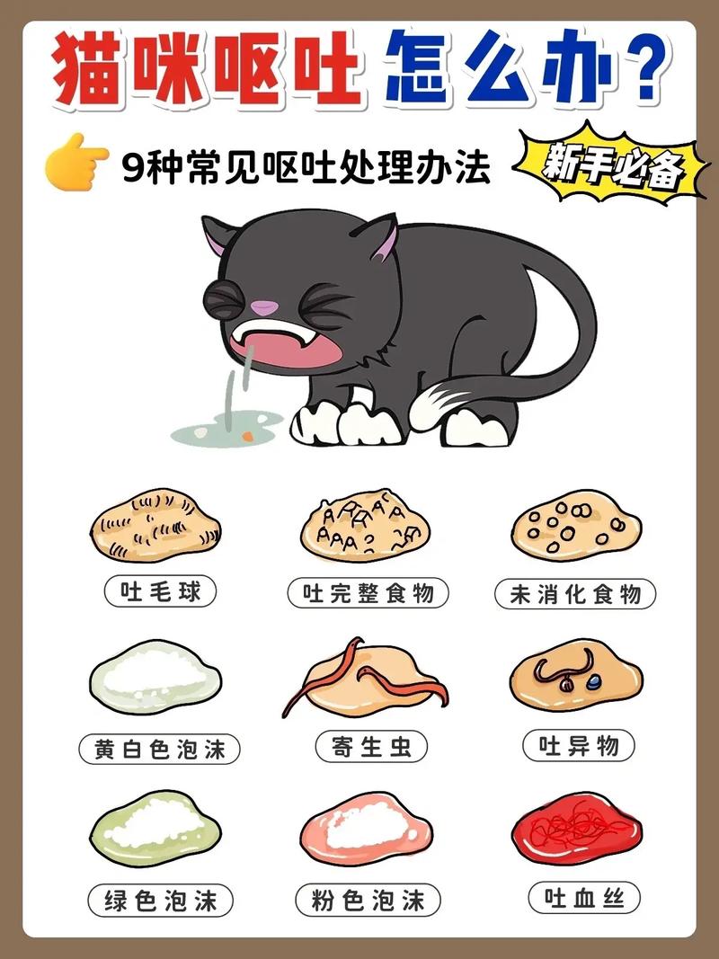 揭秘猫咪流涎呕吐的那些事儿