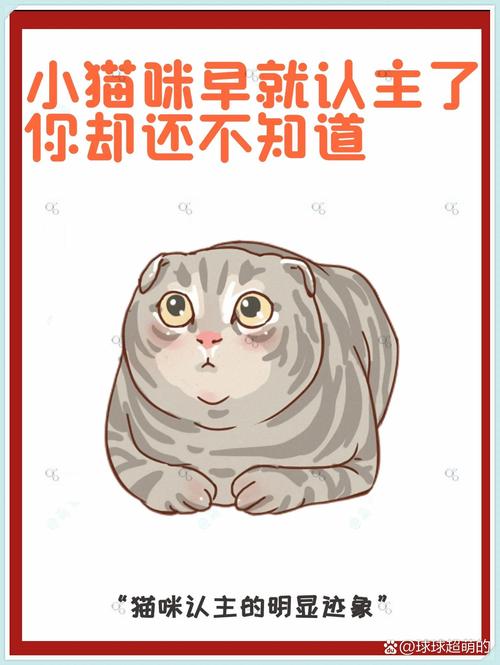 揭秘猫咪耳朵跳动的神秘信号