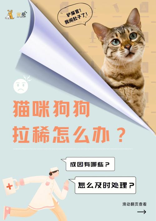 猫咪拉稀休克，了解症状及应对措施