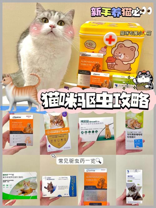 猫咪拉稀？驱虫是关键