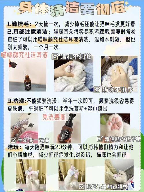 揭秘猫咪健康密码，化验报告里的秘密