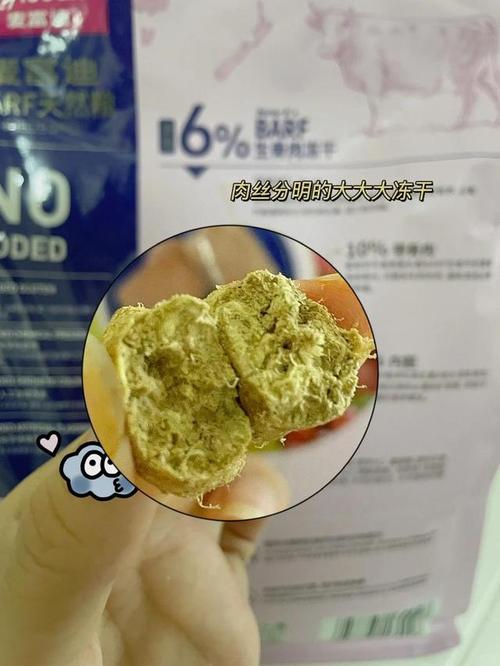 治愈系推荐拜耳猫咪护理套餐，为毛孩的健康保驾护航