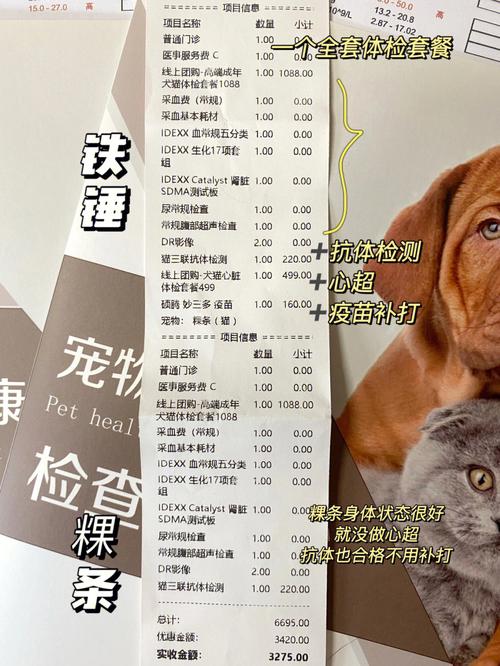 猫咪生化基础入门指南