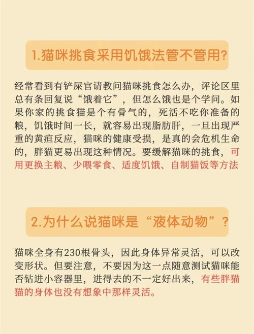 猫咪干咳抖动，警惕可能的健康危机