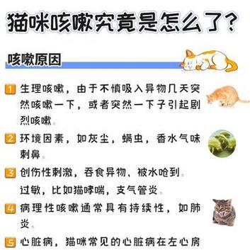 喵语中的呼唤，解读猫咪的咳嗽