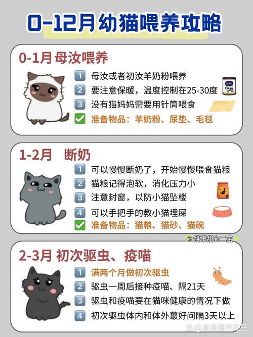 猫咪的成长，从幼崽到成年，它们究竟要多久？