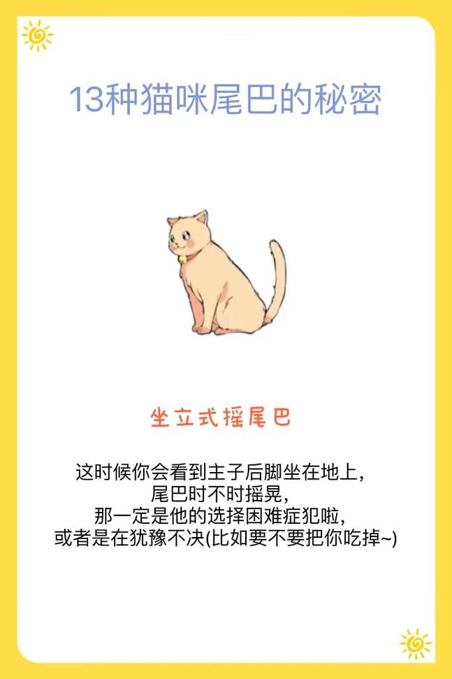 猫咪的尾巴，解读右摇的秘密