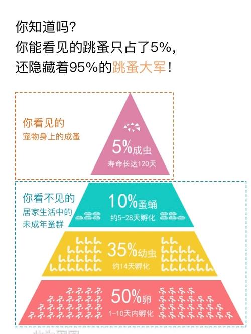 猫咪蠕螨，了解与预防