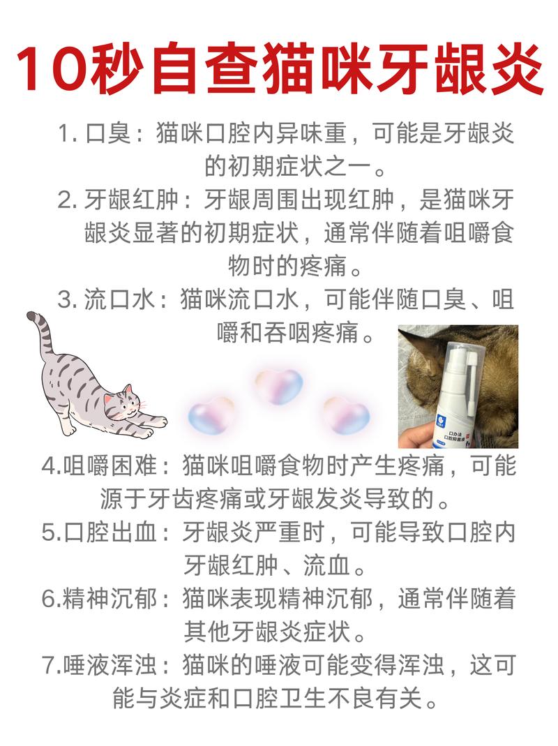 猫咪牙龈问题，如何预防与治疗