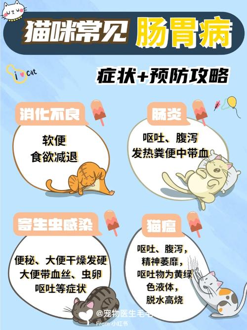 揭秘猫咪肠炎的常见类型与应对之道