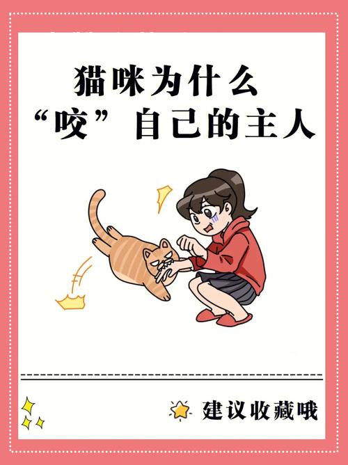 猫咪的脾气为什么总是那么难以捉摸？