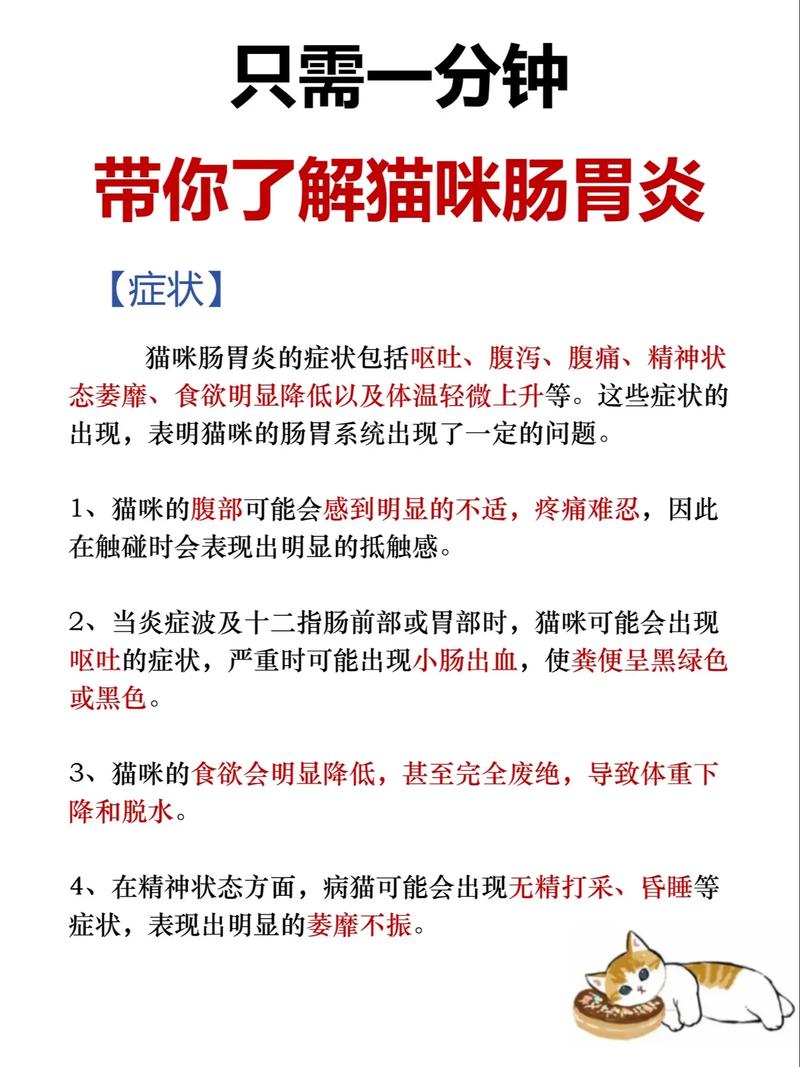 揭秘猫咪肠道健康之谜，养护方法与常见问题