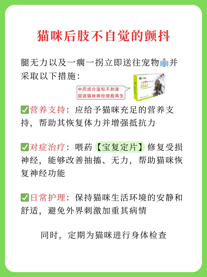 猫咪排尿无力？了解常见原因及应对措施