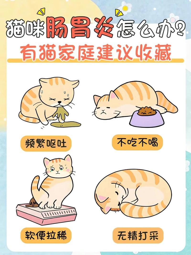 猫咪胃炎，如何预防与治疗