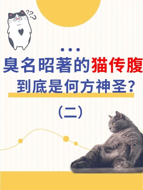 猫咪内脏疾病的警示与预防