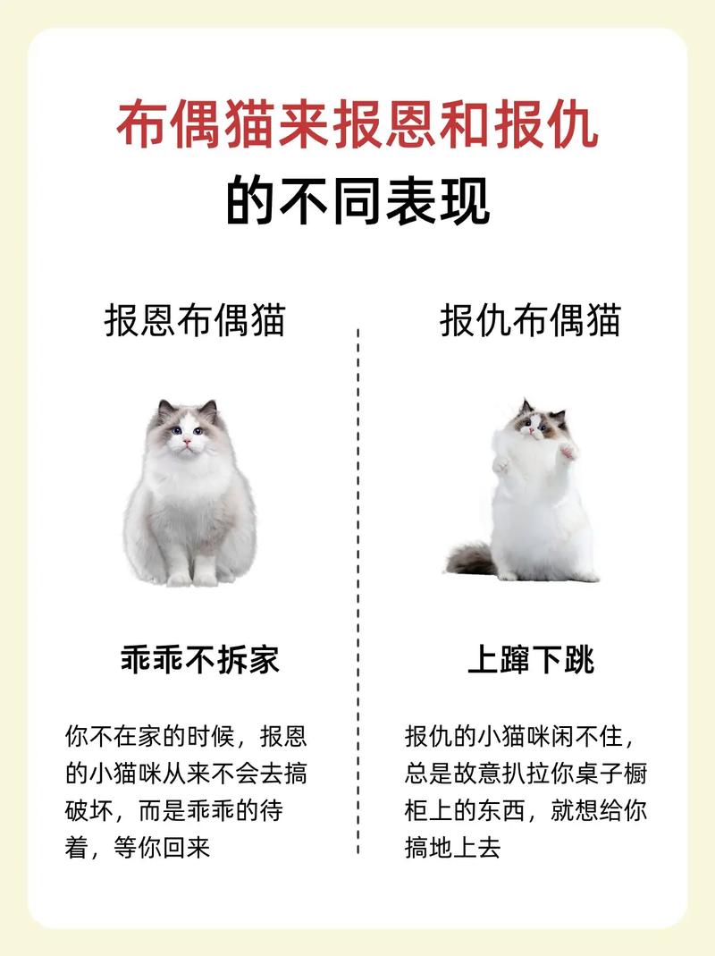 猫咪记仇的时间到底有多久？