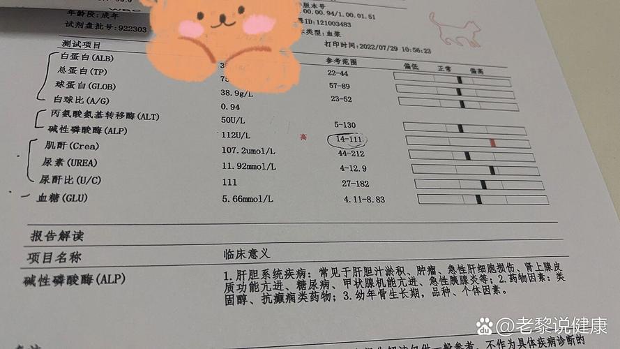 揭秘猫咪alkp低，为何猫咪的碱性磷酸酶水平偏低