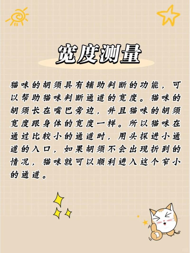 揭秘猫咪胡须的秘密——开叉背后的故事