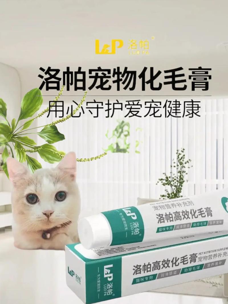 猫咪也能受益的板蓝根——守护毛孩子健康的小秘诀