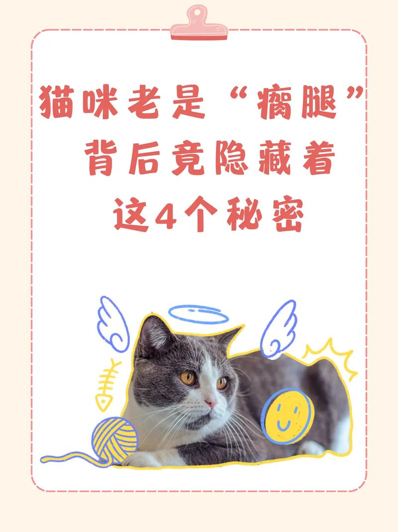 猫咪低声叫唤背后的秘密