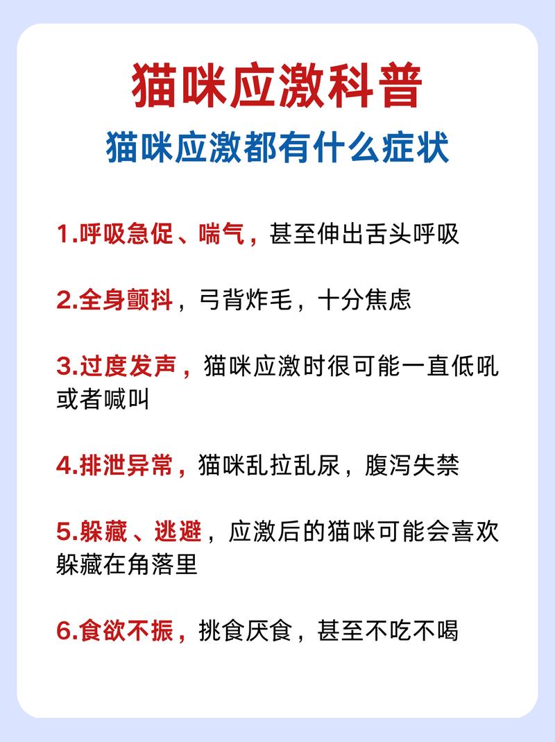 猫咪晚上的气喘声，可能是健康问题的信号