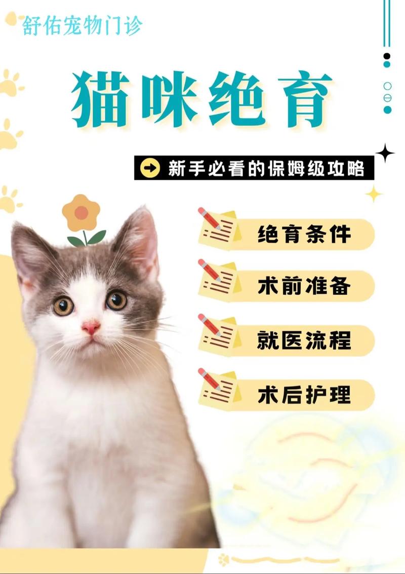 家庭繁育猫咪，如何科学养育可爱的毛孩子