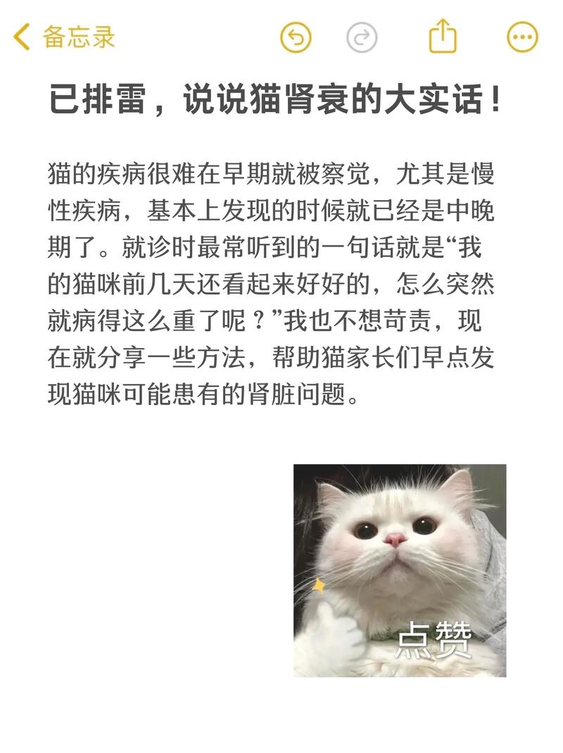 揭秘猫咪肾衰，了解其诱因与早期识别