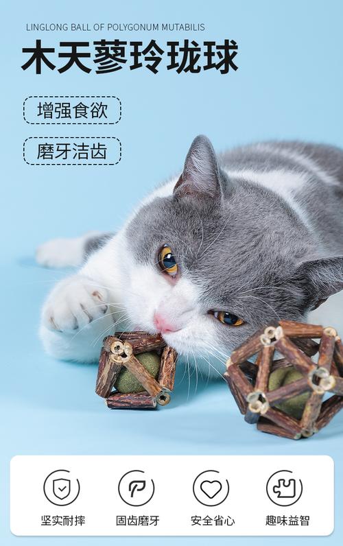 猫咪磨牙盆，给爱宠更健康的选择