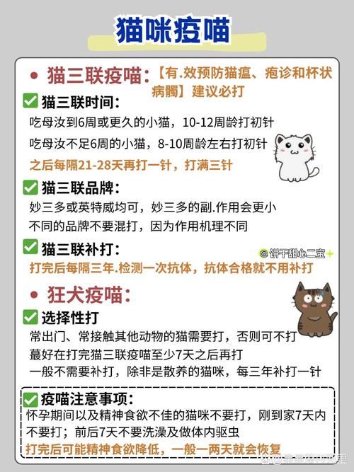 猫咪发育慢，成长的秘诀与父母的细心照料