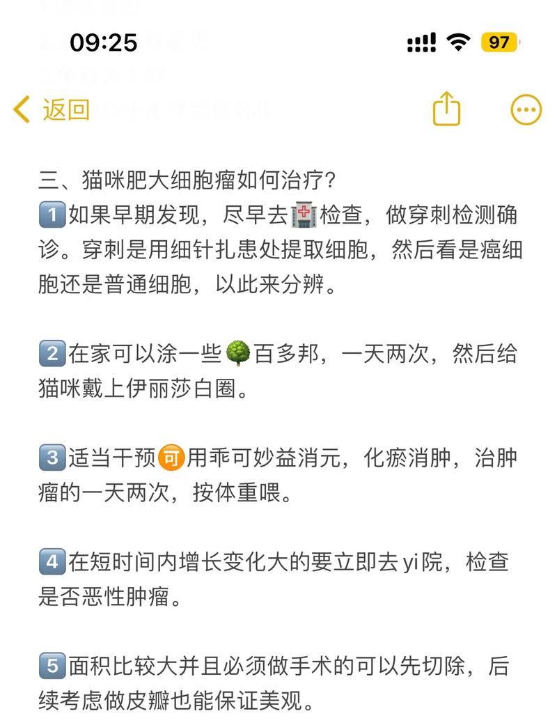 揭秘猫咪肿瘤的真相，常见诱因全解析