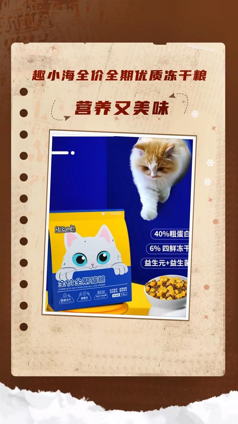 猫咪的营养食谱，如何科学喂养你的小可爱