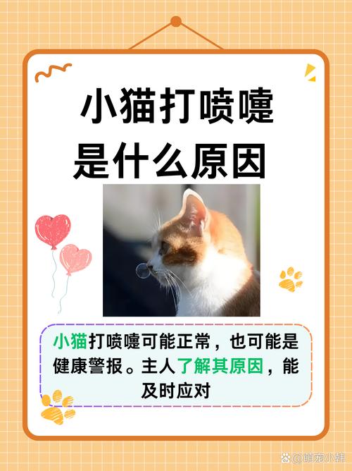 猫咪喘气重，了解可能的健康问题