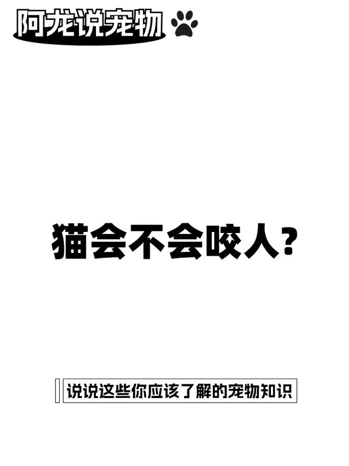 探索猫咪屁屁的秘密，为什么它们会变得干燥？