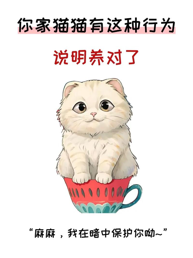 让爱宠猫咪快乐，从这些小事做起