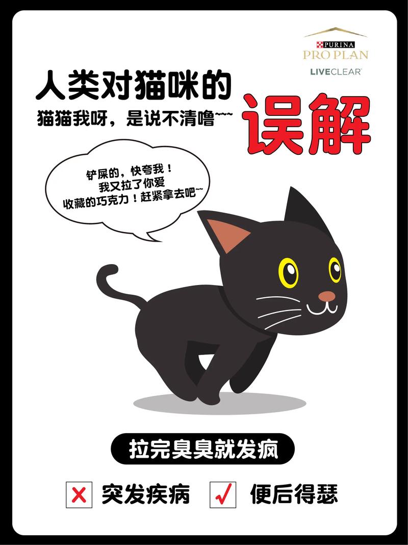 猫咪的爱意与误解，如何避免误杀