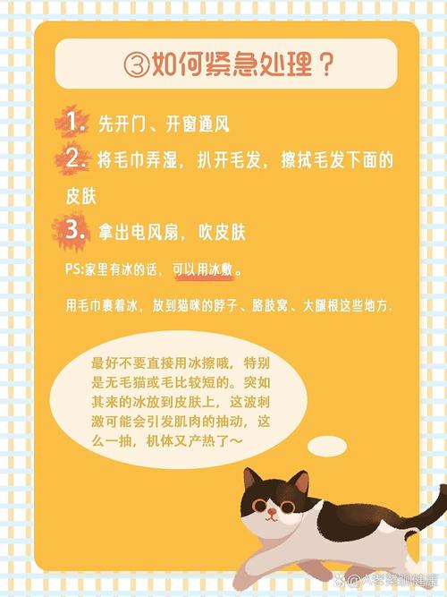 猫咪不慎打滑摔伤，如何预防与急救