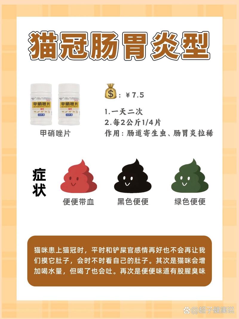 猫咪得胃病，常见症状与防治方法