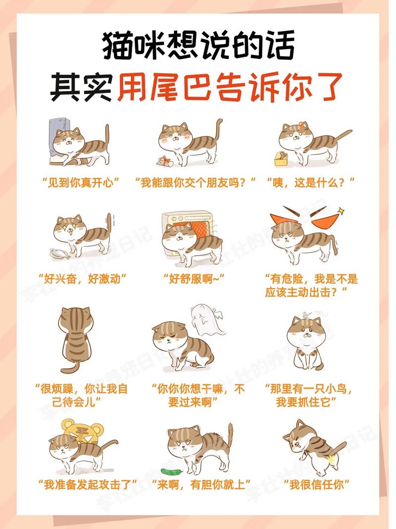 揭秘猫咪尿有味的秘密