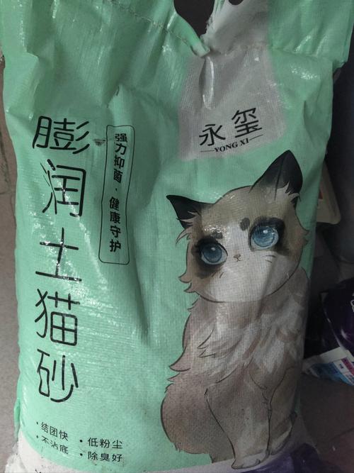 揭秘猫咪肝脏健康的秘密，一次全面检查的重要性