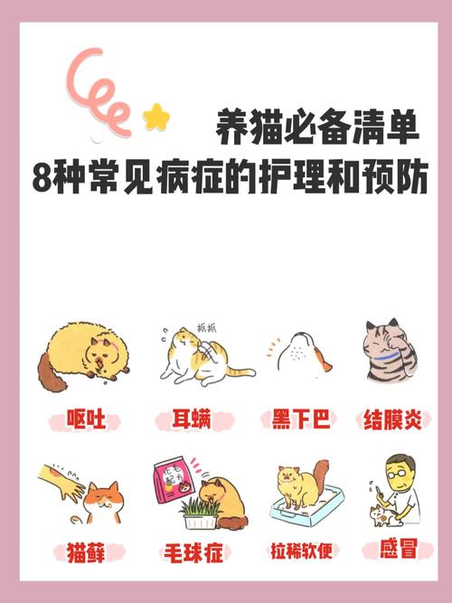 猫咪生病的那些事儿，如何及时发现并处理