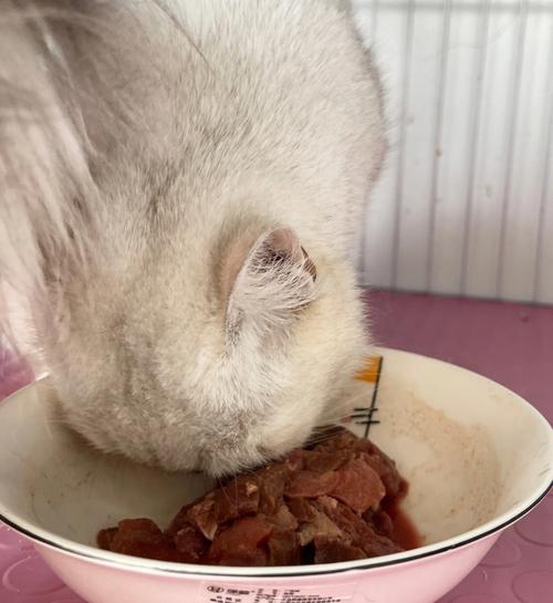 猫咪的自然饮食，为什么吃生肉是必要的？