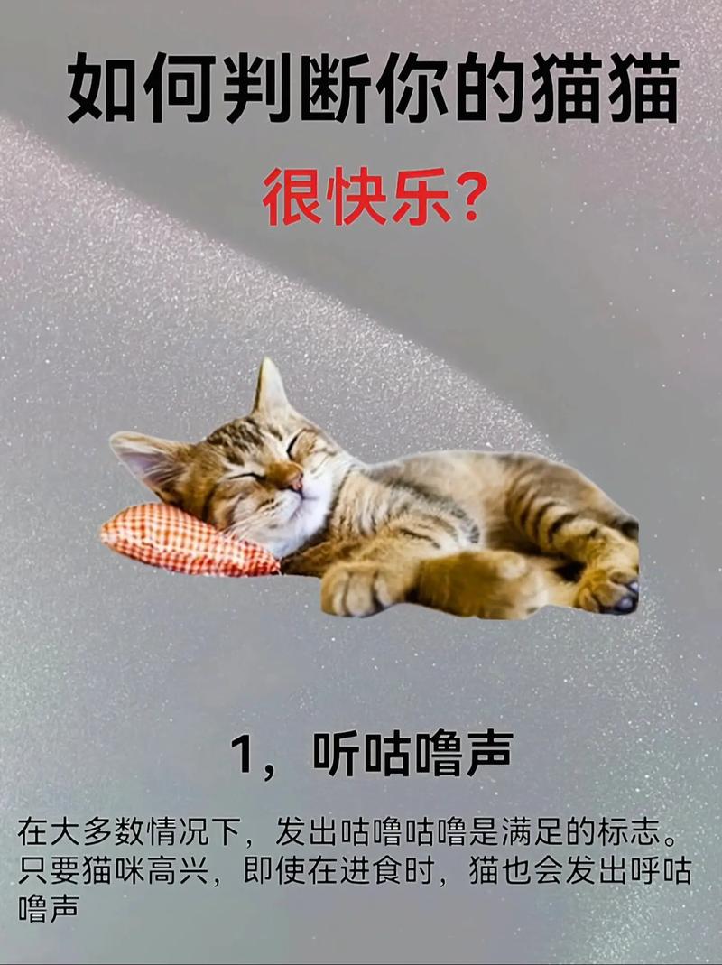 猫咪听音乐，它们为何如此痴迷？