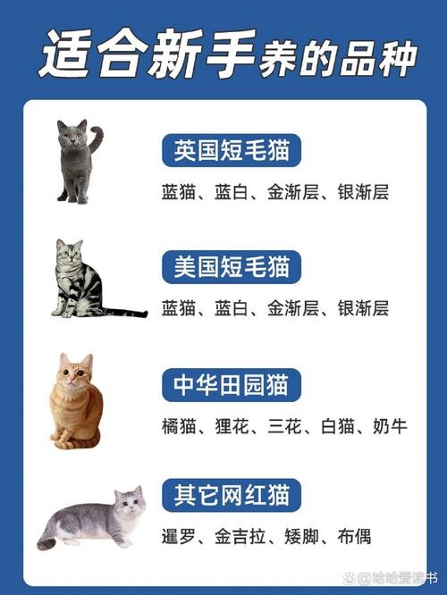 猫咪稀有品种的价值与投资潜力