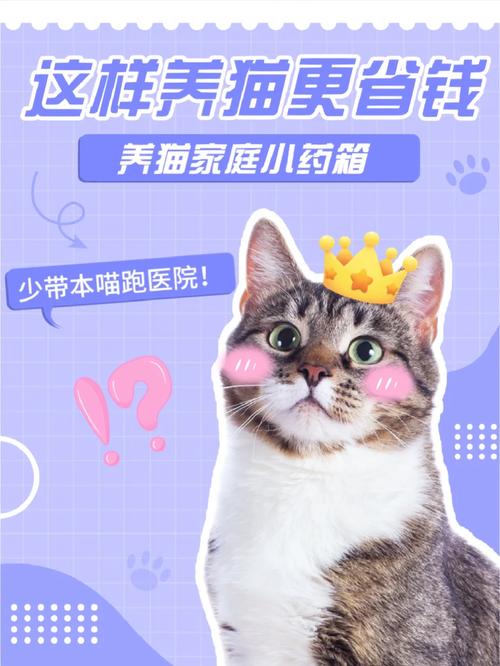 猫咪误食牙签，家庭如何紧急应对？